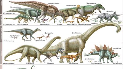 dinosaurs to scale