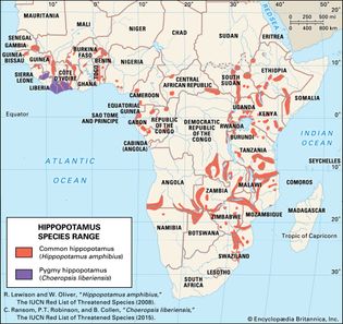 geographic range of living hippopotamuses