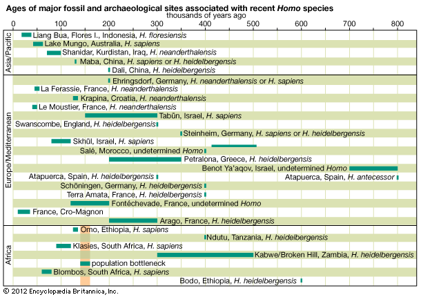 fossil sites of recent Homo species