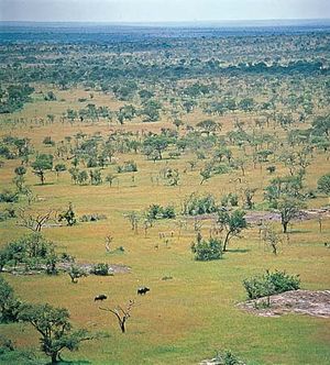 Serengeti Plain