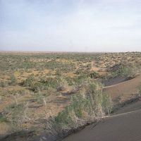 Karakum Desert, Turkmenistan