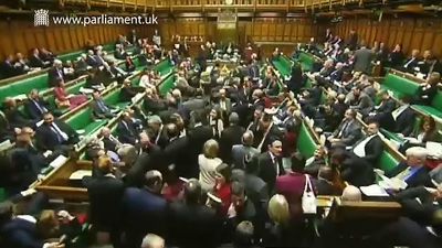 Hear about the roles and the voting process of the members of Parliament of the United Kingdom