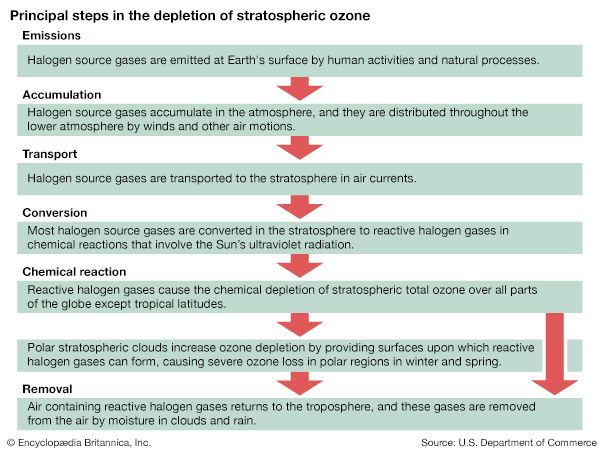 ozone depletion process