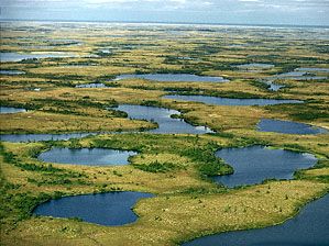 Yamal Peninsula