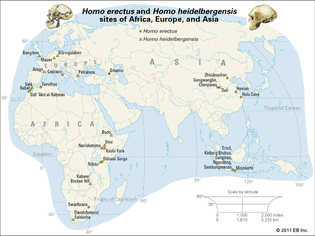 map of early human species