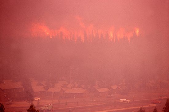 Yellowstone National Park: firestorm, 1988