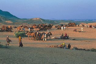 Hindu pilgrims