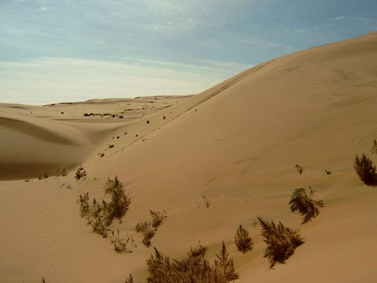 Gobi Desert