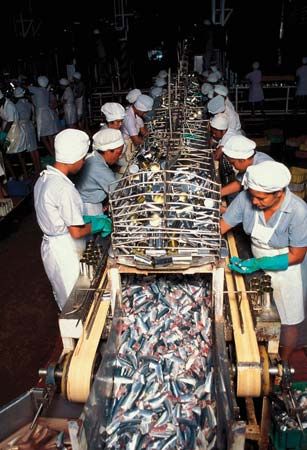 fish processing