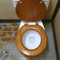 Toilet. Bathroom. Plumbing. Flush. A public toilet with a wooden seat.