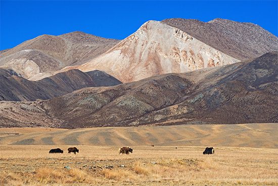 Plateau of Tibet