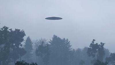 Ufo, alien, space over trees.