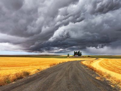 cloud: cumulonimbus