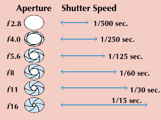 The aperture and shutter-speed combinations shown below allow the same amount of light to enter the camera but result in different images. Smaller apertures extend the zone of sharp focus, and slow shutter speeds show blurred movement.