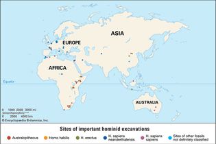 hominid fossil excavation sites