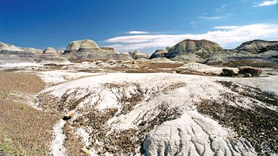 Petrified Forest National Park: Blue Mesa Trail