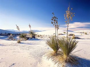 White Sands National Park