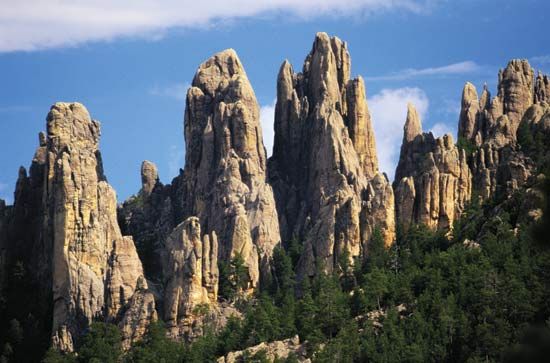 Custer State Park, South Dakota