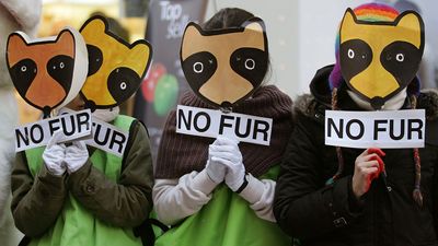 animal-rights protest in Seoul