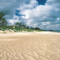 Indiana Dunes State Park