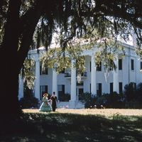 Plantation in Natchez, Miss.