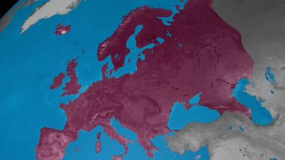 Learn how the world is divided into continents