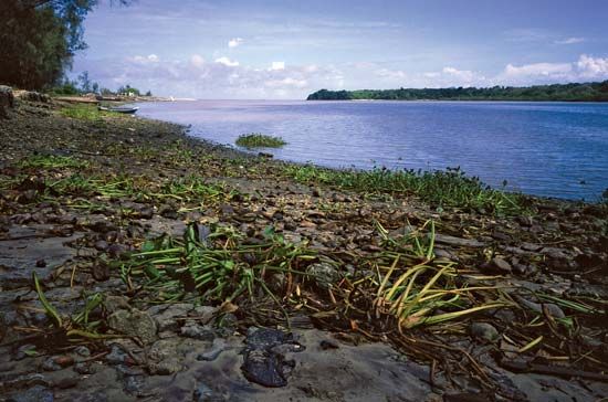 Pangani River