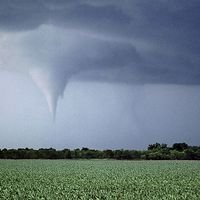 Kansas tornado over field. (twister, strom, weather, clouds)