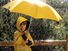 rain. Child in the rain, wearing a rain coat, under a yellow umbrella. April Showers weather climate rain storm water drops