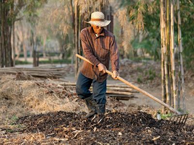 compost