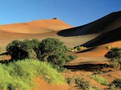 Namib desert