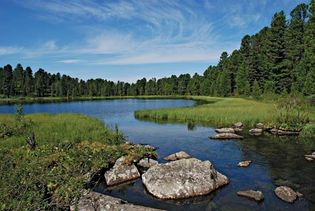 Siberia: taiga landscape