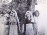 Chipko movement