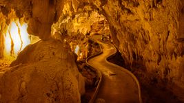 Touring New Zealand's Waitomo caves