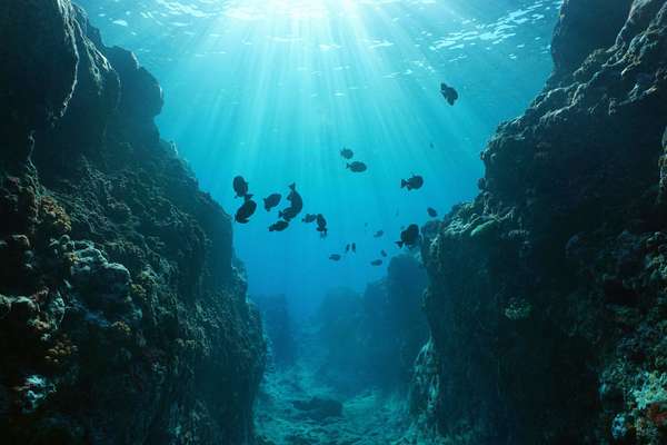 Small canyon underwater carved by the swell into the fore reef with sunlight through water surface, Huahine island, Pacific ocean, French Polynesia.