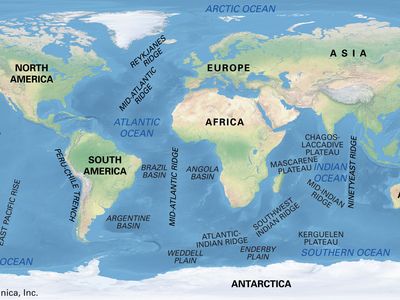 Major features of the ocean basins