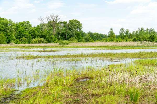 Water sits in a macro at a a restored wetland area in Starke County, Indiana May 25, 2021. The area is enrolled in the NRCS' Wetland Reserve Easement Program. The easement includes 200.6 acres of former cropland that were restored to create wetland, prairie and forest habitat for wildlife. The purpose of the macros is to provide habit and food to a variety of animals including migrating waterfowl, while returning the landscape to its natural appearance prior to the installation of drainage for agriculture and urban development.