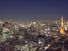 Aerial view of Tokyo, Japan at dusk circa 2009. Tokyo Tower (right) located in Shiba Park, Minato, Tokyo, Japan. Office buildings, architecture, skyscrapers, skyline.