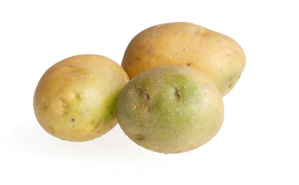 Green potatoes containing solanine are poisonous