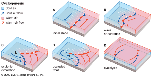 cyclogenesis