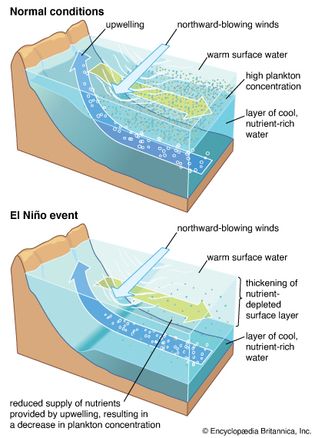 Upwelling process along coast