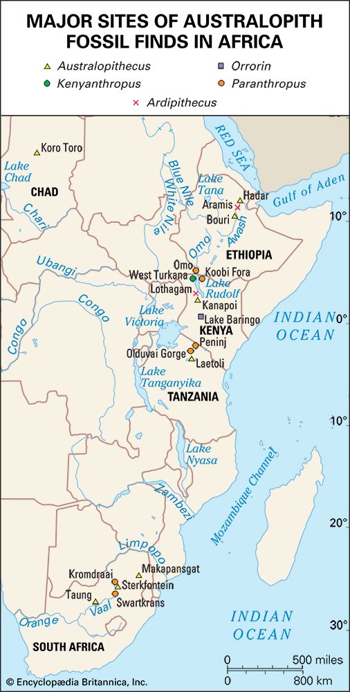 hominid fossil sites in sub-Saharan Africa