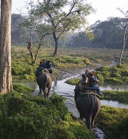 Jaldapara Wildlife Sanctuary