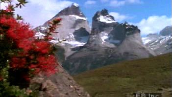 Behold Andean condors soaring among mountaintops of the Andes, a chain that stretches the entire length of South America