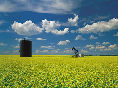 oil well in mustard field, Saskatchewan