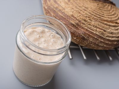 sourdough starter