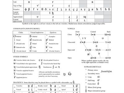 International Phonetic Alphabet