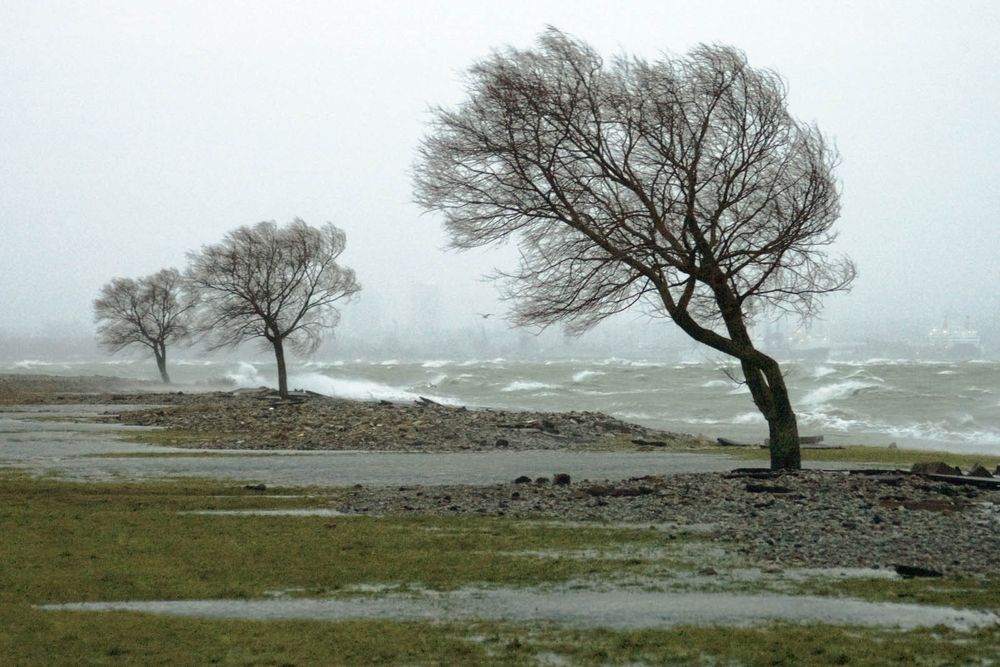 Storm, rain, and wind along ocean or lake. (monsoon; stormy; waves; rainy)