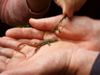 See students collecting specimens through fossicking, a not very organized method of sampling