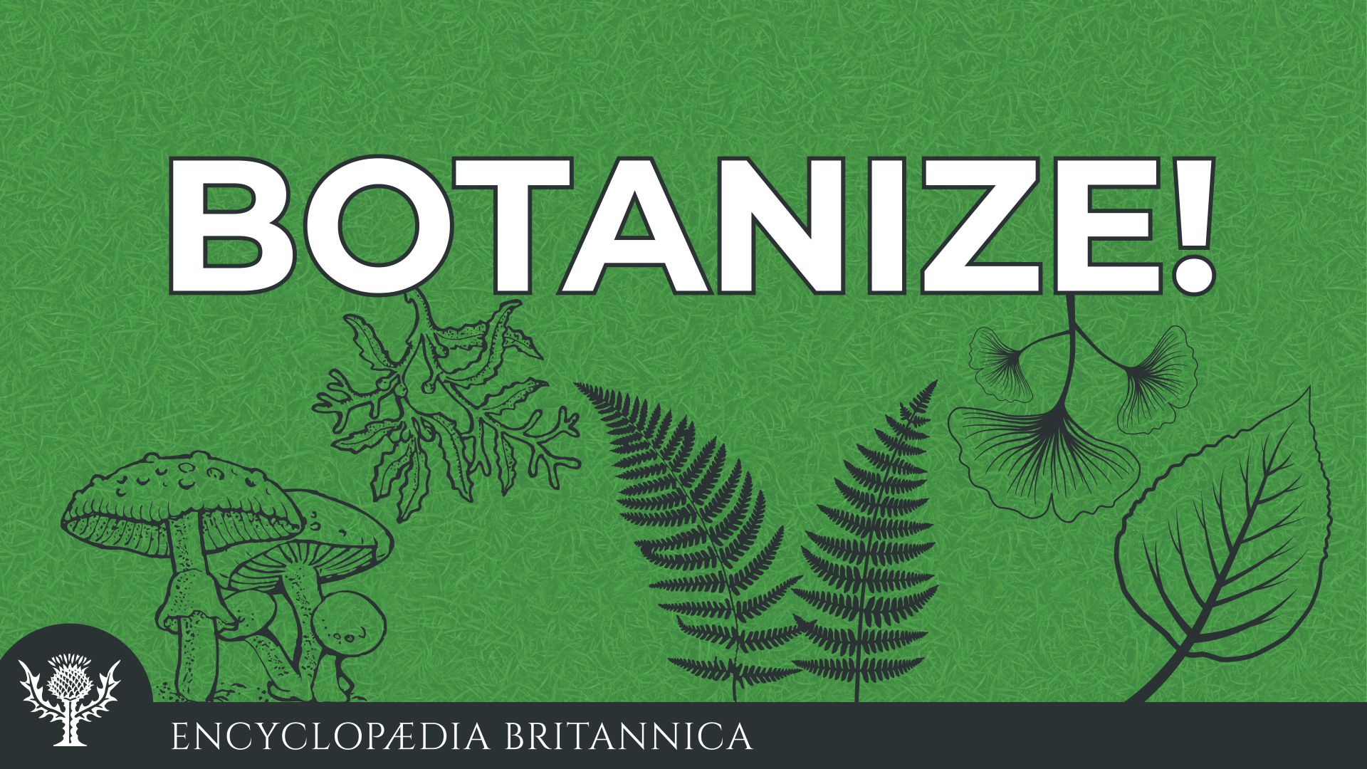 Botanize!